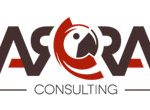 arra consulting logo | Applied OLAP